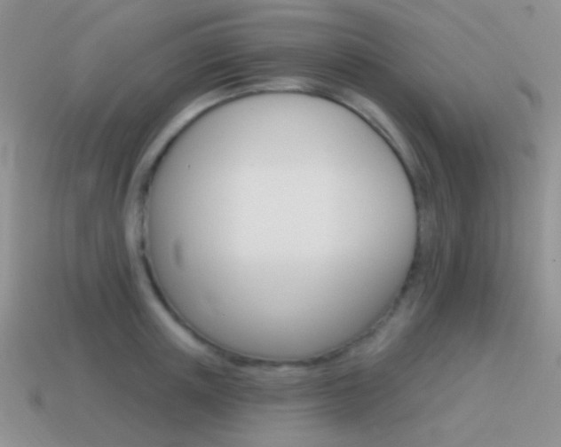 X0000115550851200911061125
