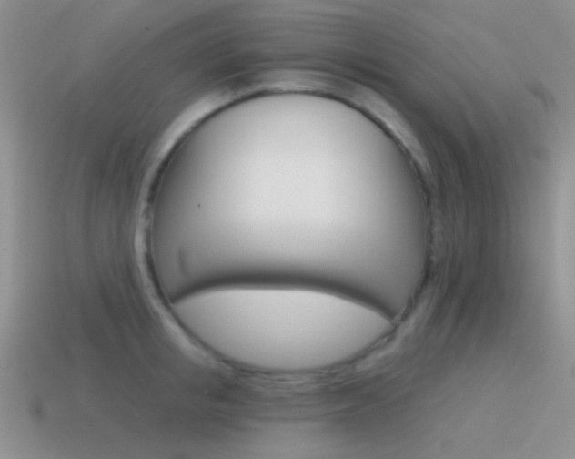 X0000115550853200911061125