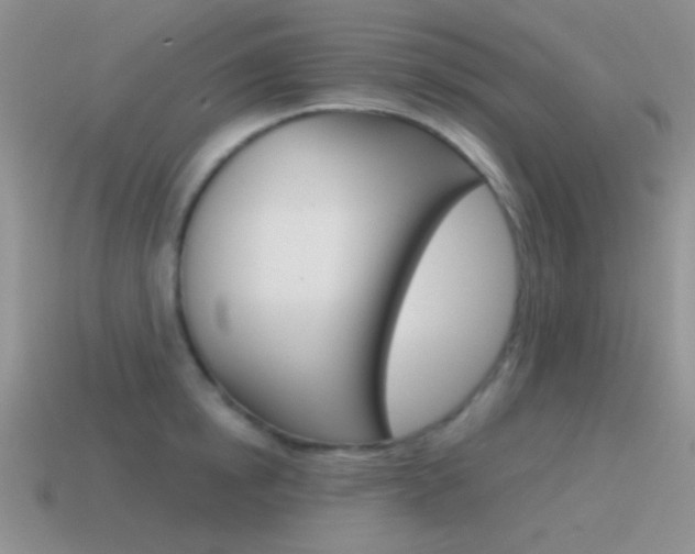 X0000115550854200911061125