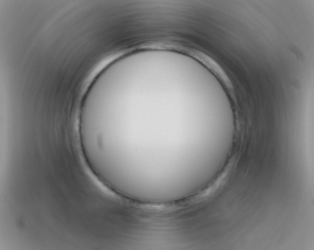 X0000115550855200911061125