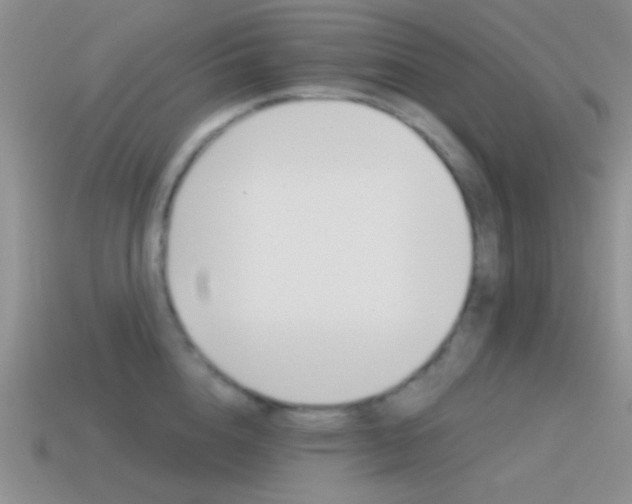 X0000115550856200911061125