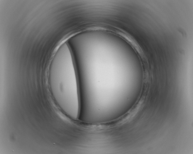 X0000115550858200911061125