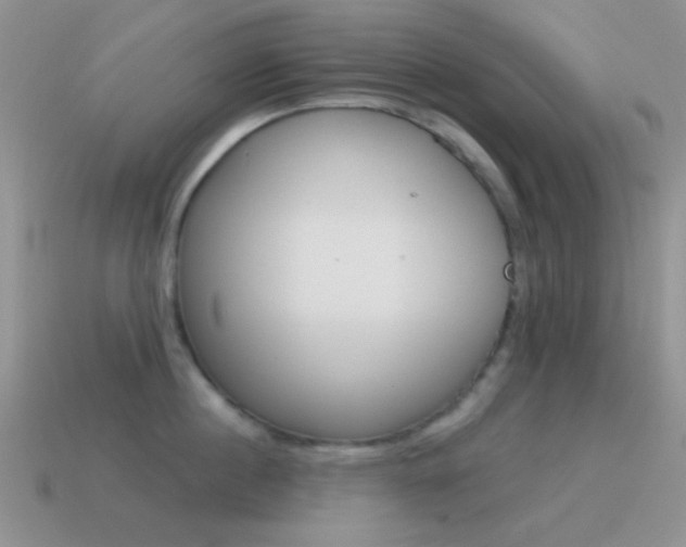 X0000115550860200911061125
