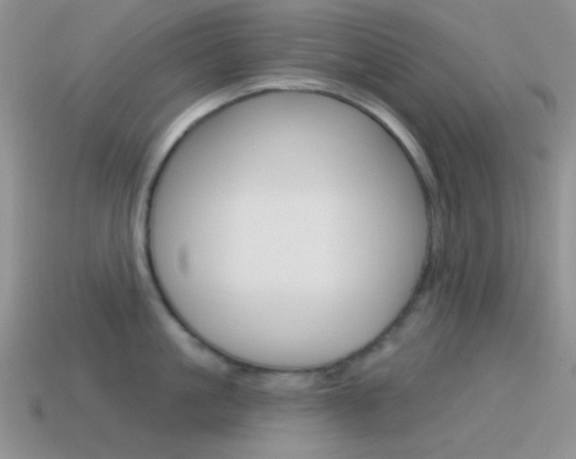 X0000115550861200911061125