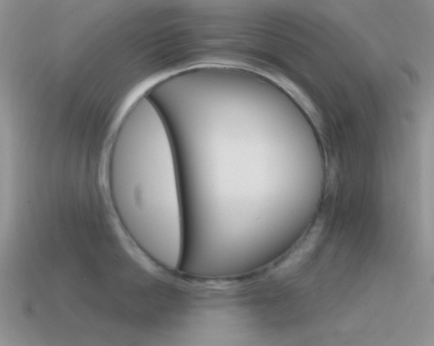 X0000115550862200911061125