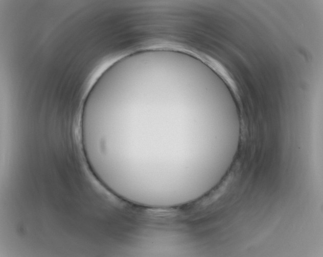 X0000115550863200911061125