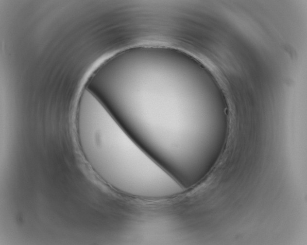 X0000115550864200911061125