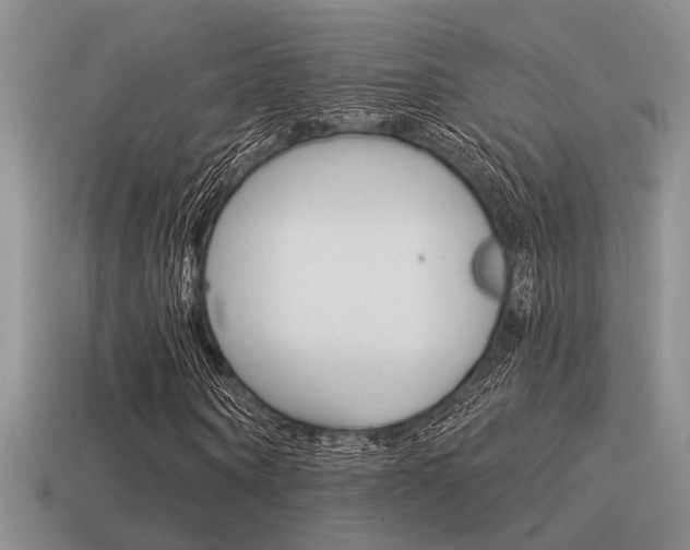 X0000115550866200911061125