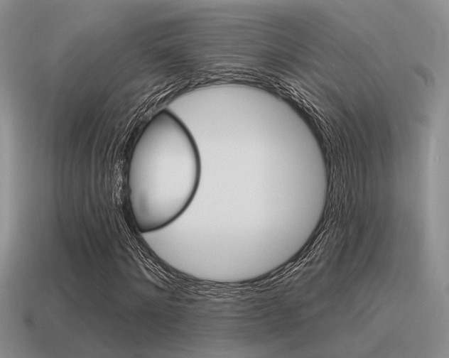 X0000115550868200911061125