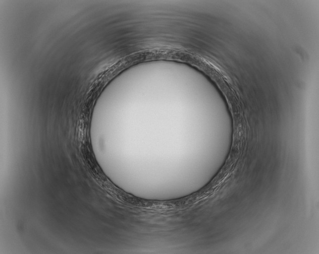 X0000115550869200911061125