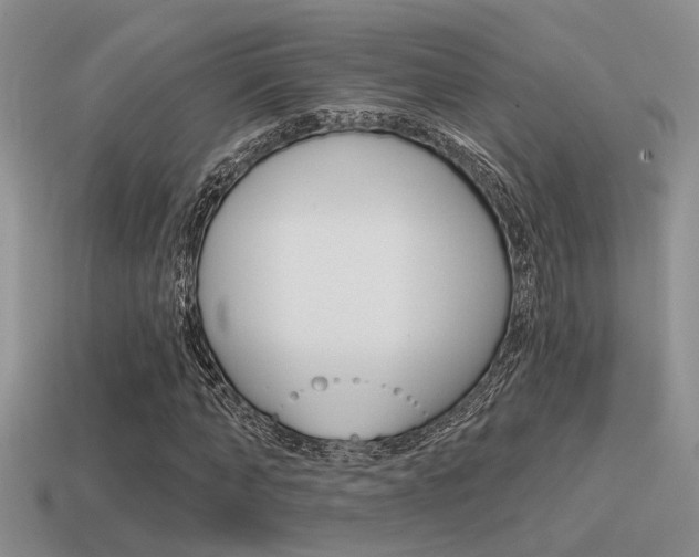 X0000115550870200911061125