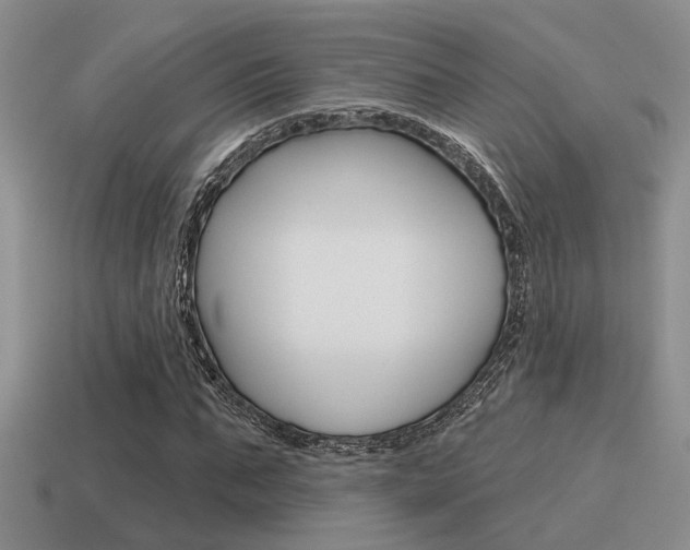 X0000115550871200911061125