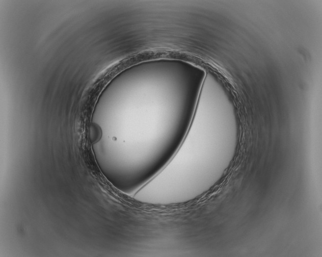 X0000115550872200911061125