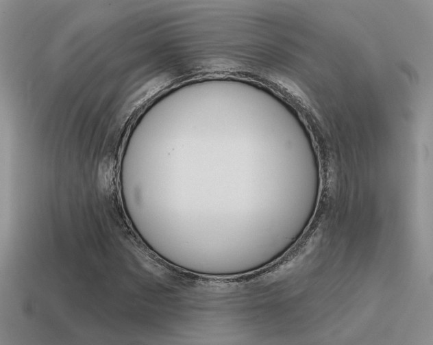 X0000115550873200911061125