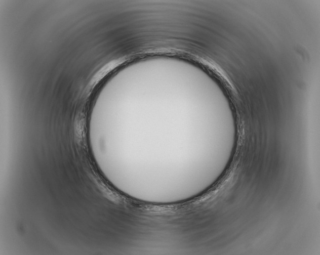 X0000115550874200911061125