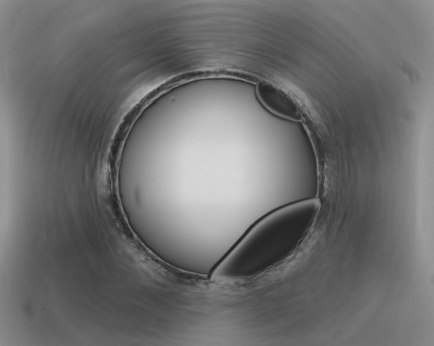 X0000115550876200911061125