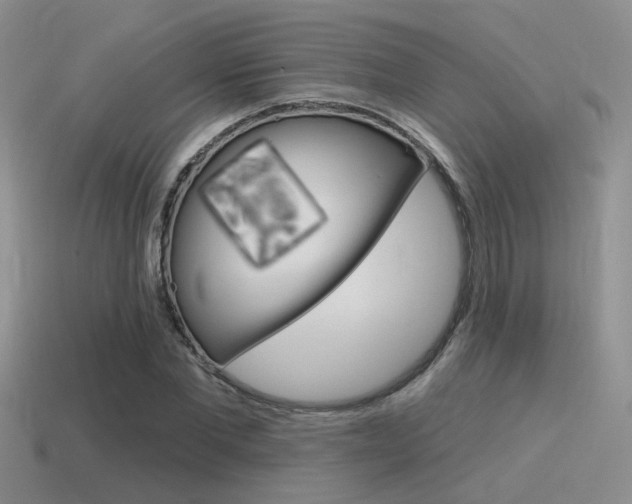 X0000115550877200911061125