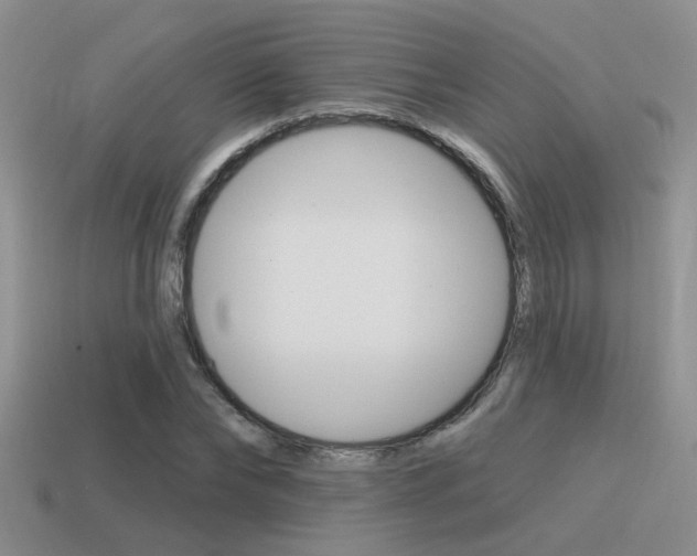 X0000115550878200911061125