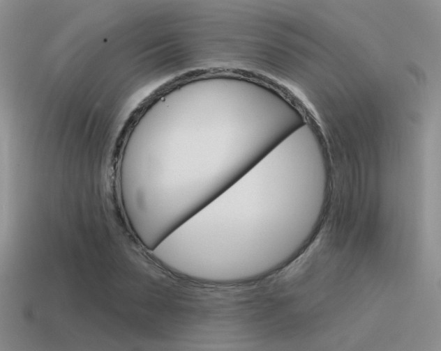 X0000115550879200911061125