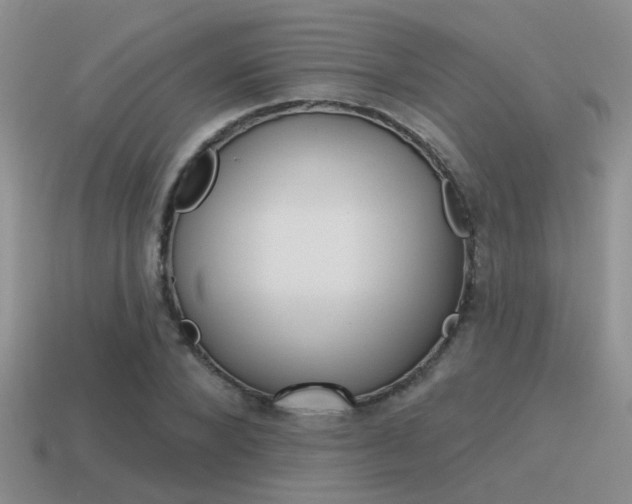 X0000115550880200911061125