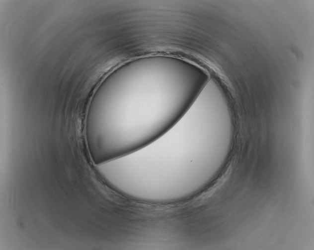 X0000115550881200911061125