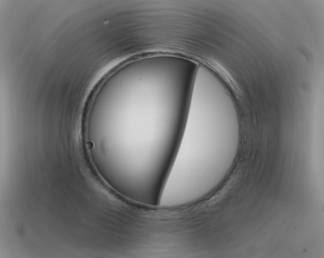 X0000115550884200911061125