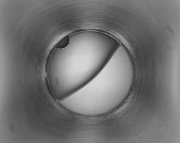 X0000115550885200911061125