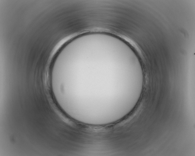 X0000115550886200911061125