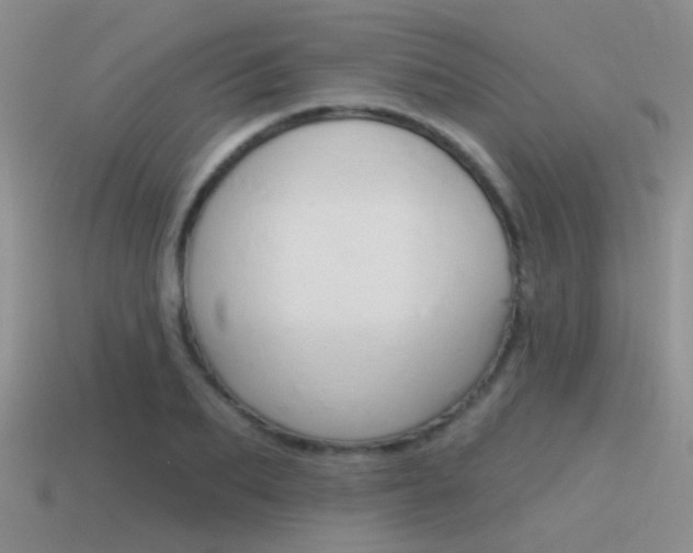 X0000115550887200911061125