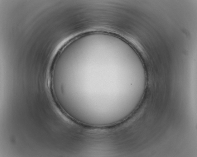 X0000115550888200911061125