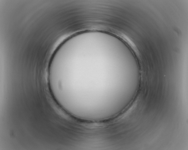 X0000115550891200911061124