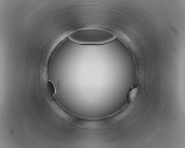 X0000115550892200911061124