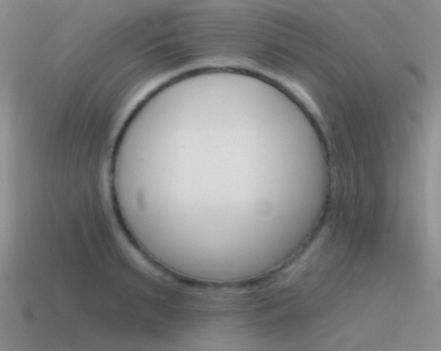 X0000115550895200911061124