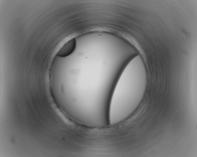 X0000115550898200911061124