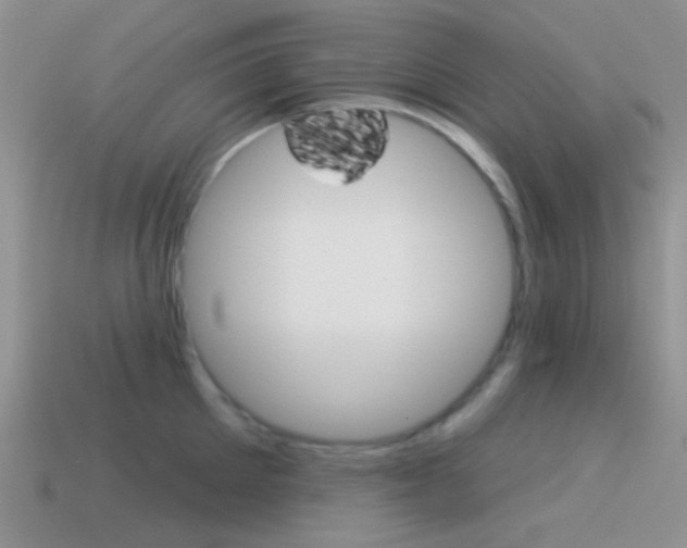 X0000115550905200911061124
