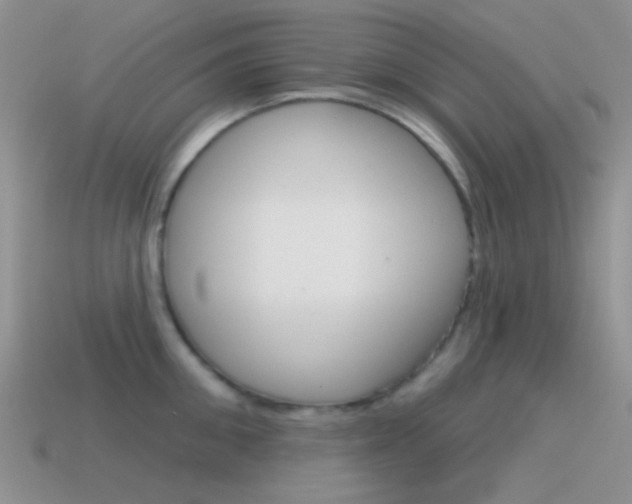 X0000115550906200911061124