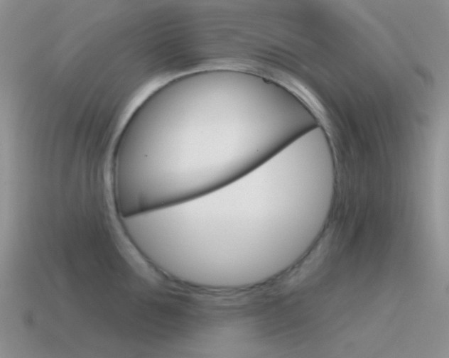 X0000115550907200911061124