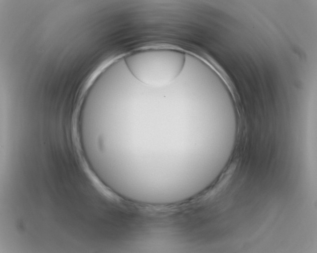 X0000115550909200911061124