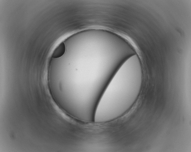 X0000115550910200911061124