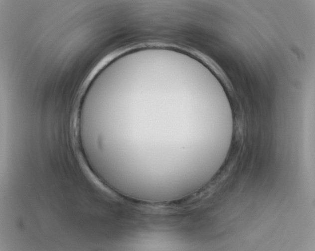 X0000115550911200911061124