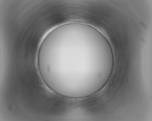 X0000115550912200911061124
