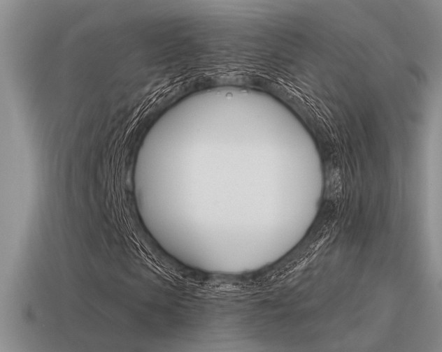 X0000115550913200911061124