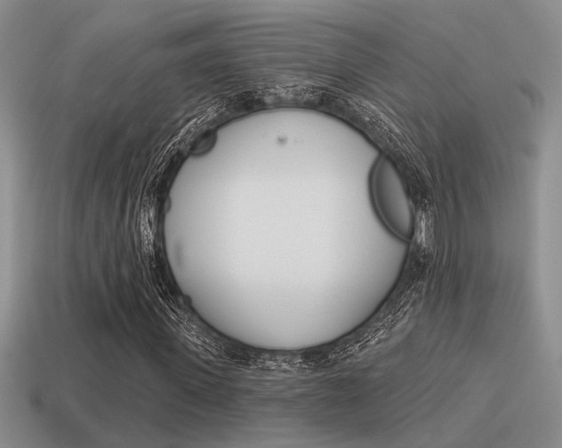 X0000115550915200911061124