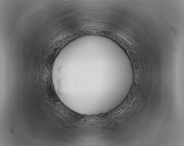 X0000115550917200911061124