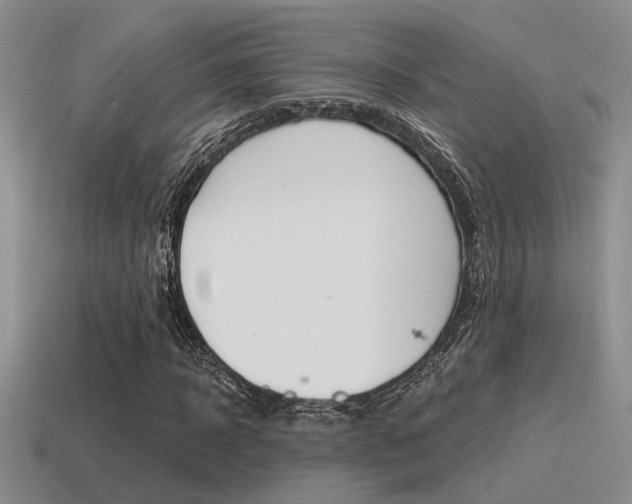X0000115550918200911061124