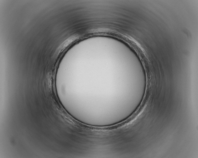 X0000115550921200911061124