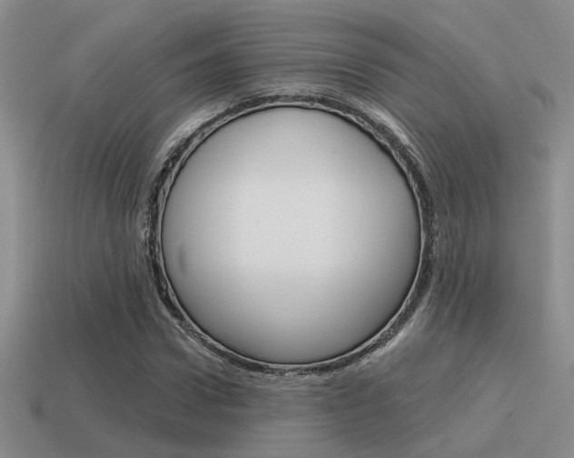 X0000115550922200911061124