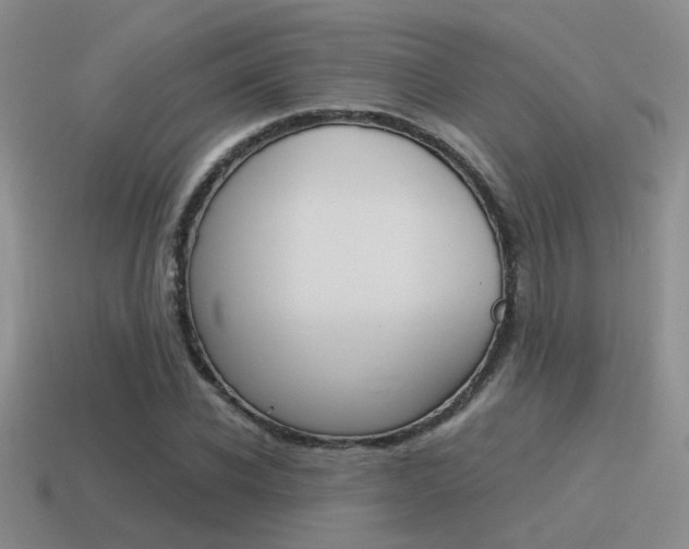 X0000115550926200911061124