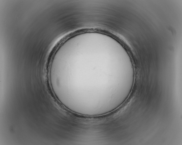 X0000115550927200911061124