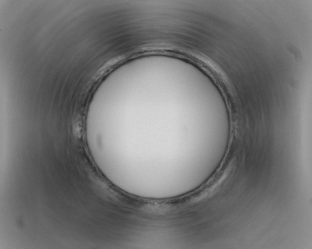 X0000115550929200911061124